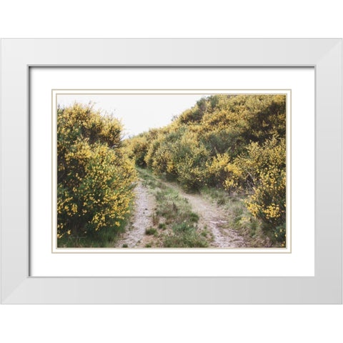 Scottish Highlands II White Modern Wood Framed Art Print with Double Matting by Marshall, Laura