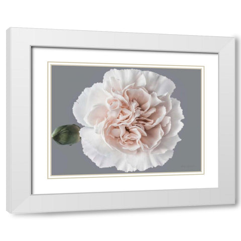 Blush Carnation White Modern Wood Framed Art Print with Double Matting by Catterall, Elise