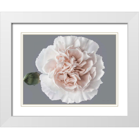 Blush Carnation White Modern Wood Framed Art Print with Double Matting by Catterall, Elise