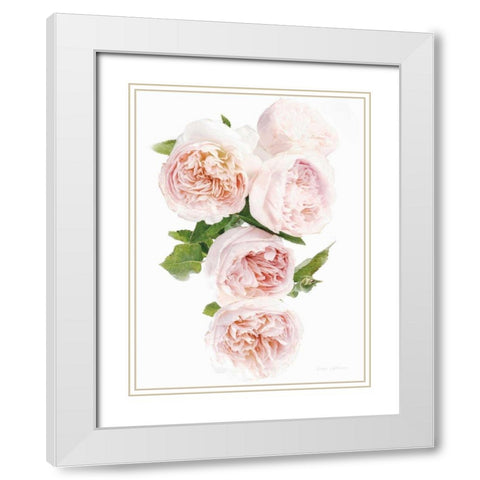 David Austin Cascade White Modern Wood Framed Art Print with Double Matting by Catterall, Elise
