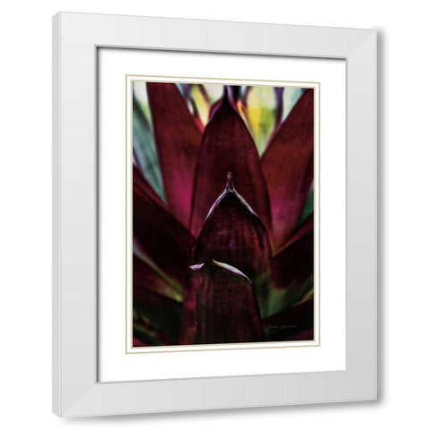 Succulent Detail I White Modern Wood Framed Art Print with Double Matting by Catterall, Elise