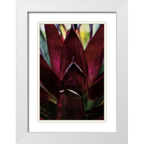 Succulent Detail I White Modern Wood Framed Art Print with Double Matting by Catterall, Elise