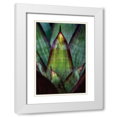Succulent Detail II White Modern Wood Framed Art Print with Double Matting by Catterall, Elise