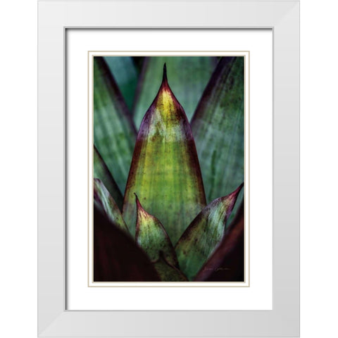 Succulent Detail II White Modern Wood Framed Art Print with Double Matting by Catterall, Elise