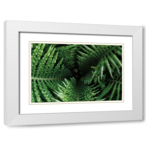 Fern Detail White Modern Wood Framed Art Print with Double Matting by Catterall, Elise