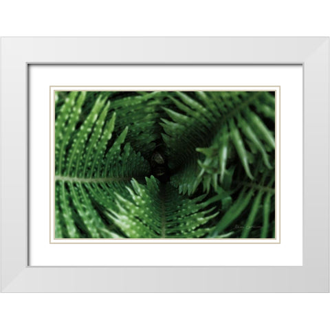 Fern Detail White Modern Wood Framed Art Print with Double Matting by Catterall, Elise