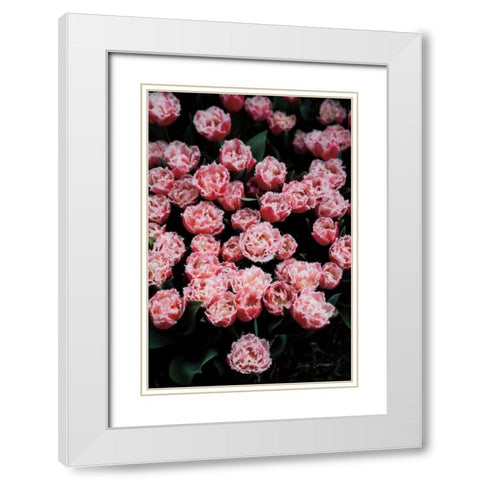 Fringed Tulips White Modern Wood Framed Art Print with Double Matting by Catterall, Elise