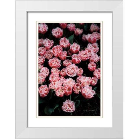 Fringed Tulips White Modern Wood Framed Art Print with Double Matting by Catterall, Elise