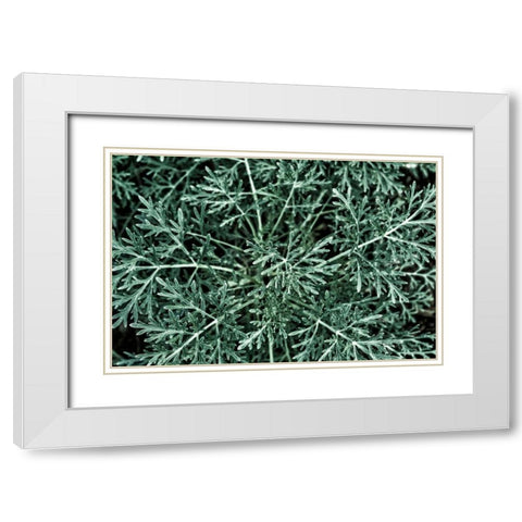 Greenery Closeup White Modern Wood Framed Art Print with Double Matting by Catterall, Elise