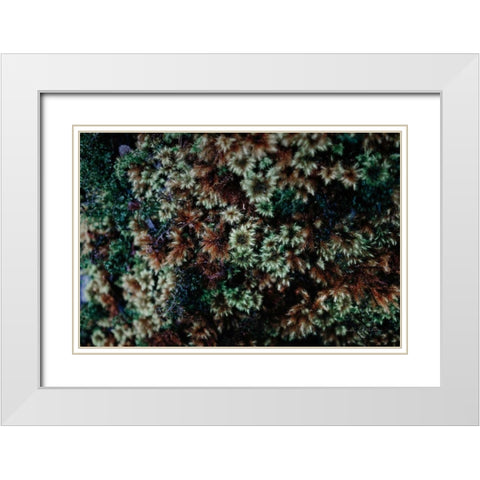 Moss Detail White Modern Wood Framed Art Print with Double Matting by Catterall, Elise