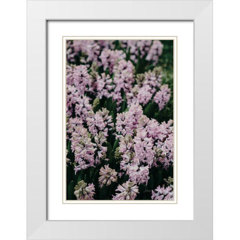 Hyacinth Closeup White Modern Wood Framed Art Print with Double Matting by Catterall, Elise