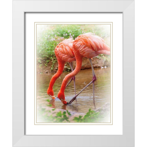 Two Flamingos White Modern Wood Framed Art Print with Double Matting by Van Swearingen, Debra