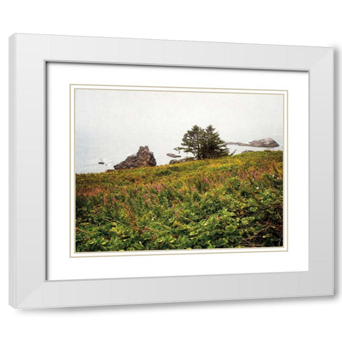 Oregon Coast White Modern Wood Framed Art Print with Double Matting by Van Swearingen, Debra
