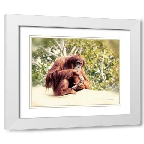 Orangutan White Modern Wood Framed Art Print with Double Matting by Van Swearingen, Debra