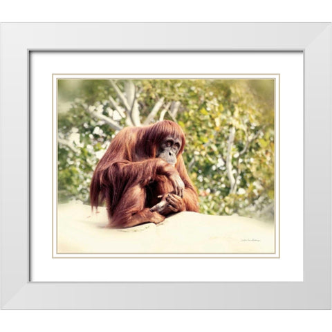 Orangutan White Modern Wood Framed Art Print with Double Matting by Van Swearingen, Debra