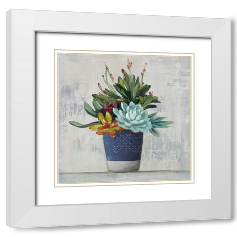 Succulent Still Life I Navy White Modern Wood Framed Art Print with Double Matting by Purinton, Julia