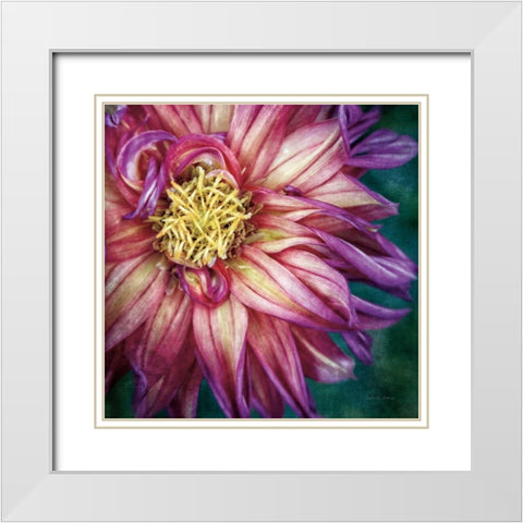 Dahlia I White Modern Wood Framed Art Print with Double Matting by Van Swearingen, Debra