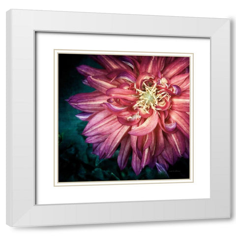 Dahlia II White Modern Wood Framed Art Print with Double Matting by Van Swearingen, Debra