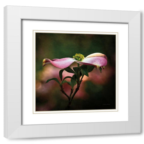 Pink Dogwood I White Modern Wood Framed Art Print with Double Matting by Van Swearingen, Debra