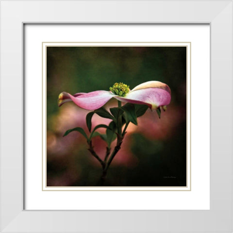 Pink Dogwood I White Modern Wood Framed Art Print with Double Matting by Van Swearingen, Debra