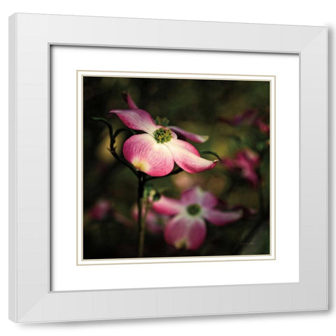 Pink Dogwood II White Modern Wood Framed Art Print with Double Matting by Van Swearingen, Debra
