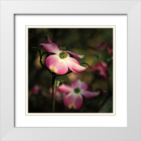 Pink Dogwood II White Modern Wood Framed Art Print with Double Matting by Van Swearingen, Debra