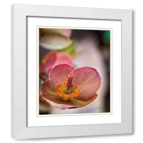 Lenton Rose III White Modern Wood Framed Art Print with Double Matting by Van Swearingen, Debra