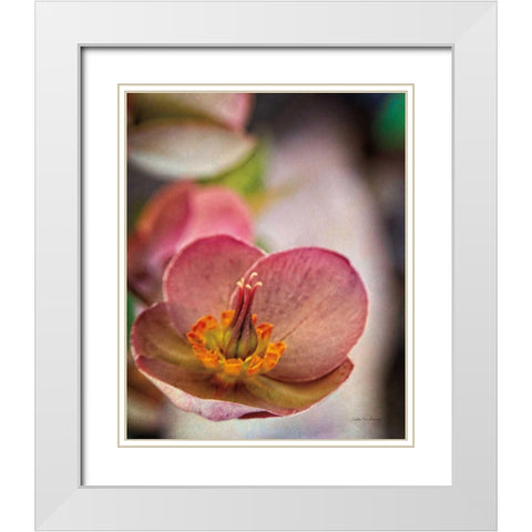 Lenton Rose III White Modern Wood Framed Art Print with Double Matting by Van Swearingen, Debra