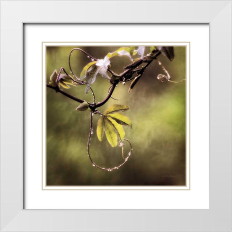 Passion Flower Vine I White Modern Wood Framed Art Print with Double Matting by Van Swearingen, Debra