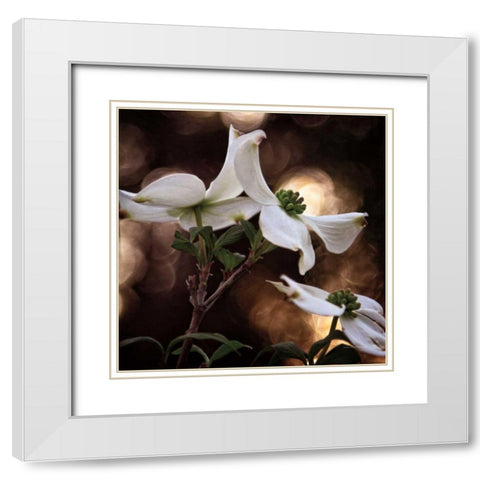 White Dogwood I White Modern Wood Framed Art Print with Double Matting by Van Swearingen, Debra