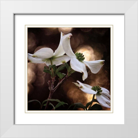 White Dogwood I White Modern Wood Framed Art Print with Double Matting by Van Swearingen, Debra