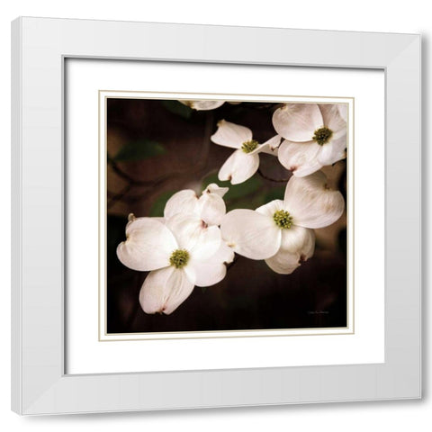 White Dogwood III White Modern Wood Framed Art Print with Double Matting by Van Swearingen, Debra