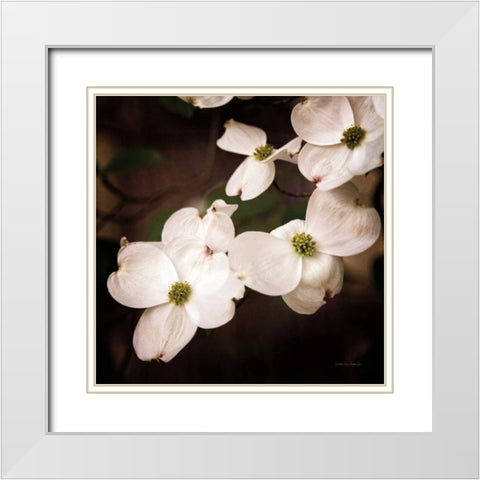 White Dogwood III White Modern Wood Framed Art Print with Double Matting by Van Swearingen, Debra