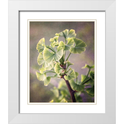 Sprouting Ginkgo I White Modern Wood Framed Art Print with Double Matting by Van Swearingen, Debra