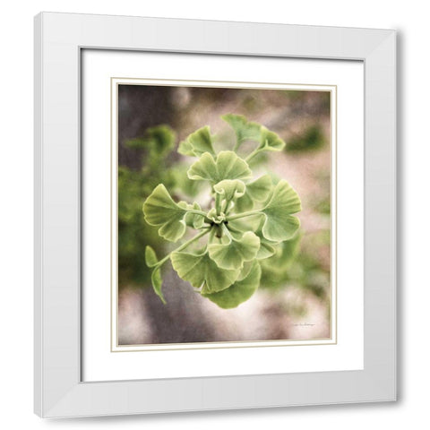 Sprouting Ginkgo II White Modern Wood Framed Art Print with Double Matting by Van Swearingen, Debra