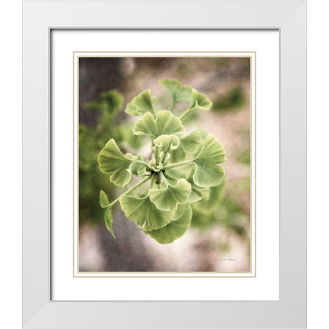 Sprouting Ginkgo II White Modern Wood Framed Art Print with Double Matting by Van Swearingen, Debra