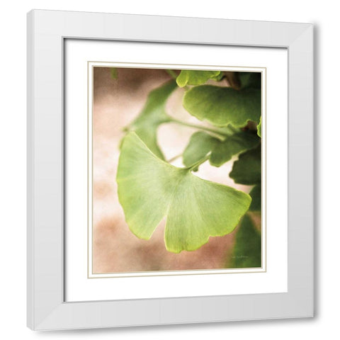 Sprouting Ginkgo III White Modern Wood Framed Art Print with Double Matting by Van Swearingen, Debra