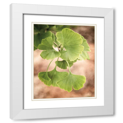 Sprouting Ginkgo IV White Modern Wood Framed Art Print with Double Matting by Van Swearingen, Debra