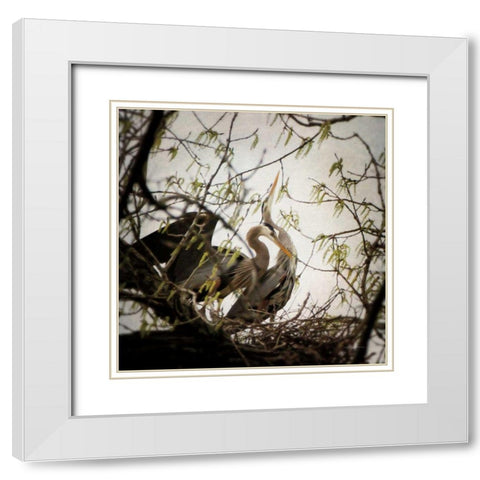 Connection White Modern Wood Framed Art Print with Double Matting by Van Swearingen, Debra
