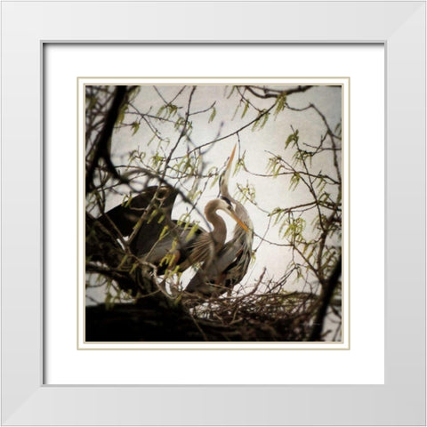 Connection White Modern Wood Framed Art Print with Double Matting by Van Swearingen, Debra