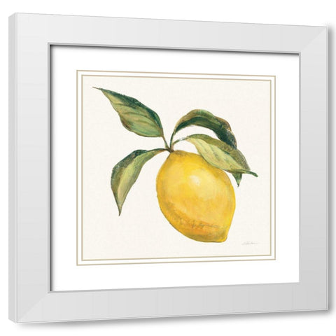 Le Citron on Cream White Modern Wood Framed Art Print with Double Matting by Vassileva, Silvia