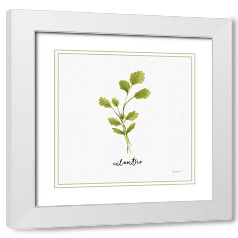 Herbs IV White White Modern Wood Framed Art Print with Double Matting by Thorns, Becky