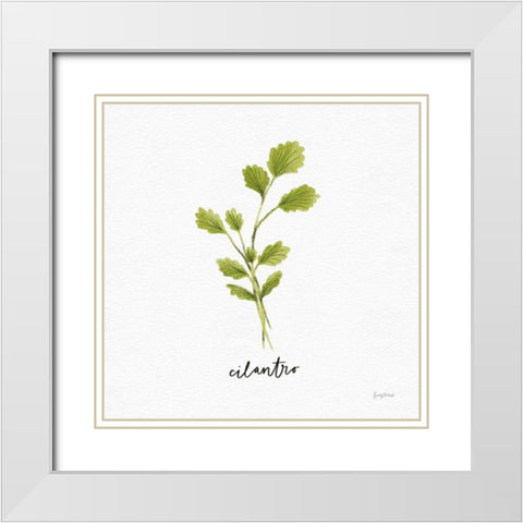 Herbs IV White White Modern Wood Framed Art Print with Double Matting by Thorns, Becky