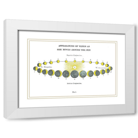 Solar Venus Chart Bright White Modern Wood Framed Art Print with Double Matting by Wild Apple Portfolio