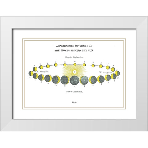 Solar Venus Chart Bright White Modern Wood Framed Art Print with Double Matting by Wild Apple Portfolio