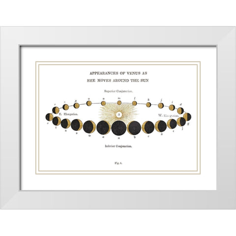 Solar Venus Chart Gold White Modern Wood Framed Art Print with Double Matting by Wild Apple Portfolio