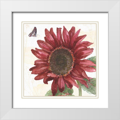 Sunflower Splendor X White Modern Wood Framed Art Print with Double Matting by Grove, Beth