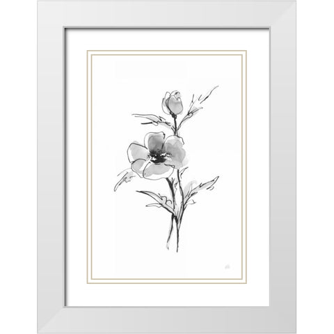 Wash Anemone I White Modern Wood Framed Art Print with Double Matting by Paschke, Chris