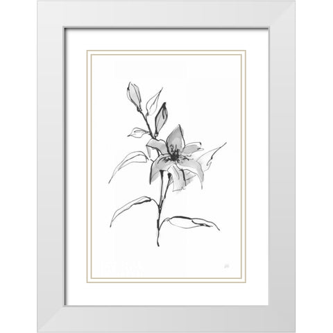 Wash Tiger Lily White Modern Wood Framed Art Print with Double Matting by Paschke, Chris