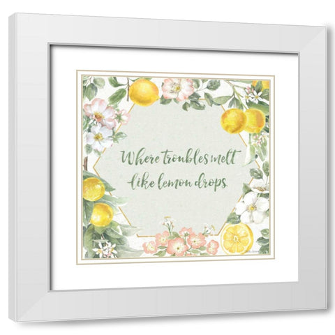 Citrus Charm III White Modern Wood Framed Art Print with Double Matting by Grove, Beth